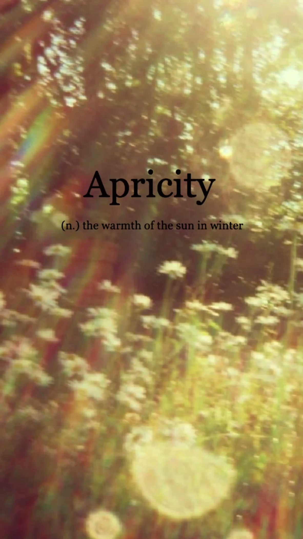 Apricity: the warmth of the sun in winter, pictured in golden light